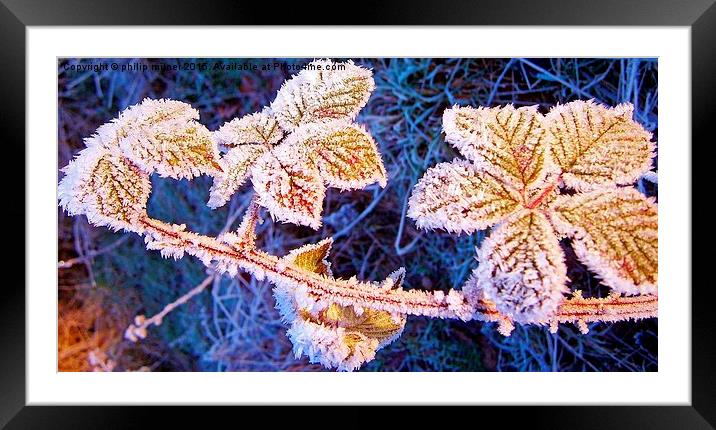  Frozen Blackberry Leaves Framed Mounted Print by philip milner