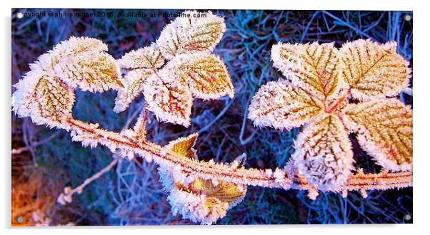  Frozen Blackberry Leaves Acrylic by philip milner