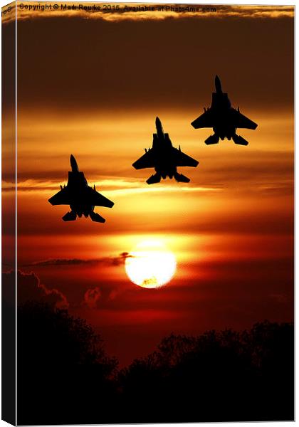  Sunset Arrival Canvas Print by Mark Rourke