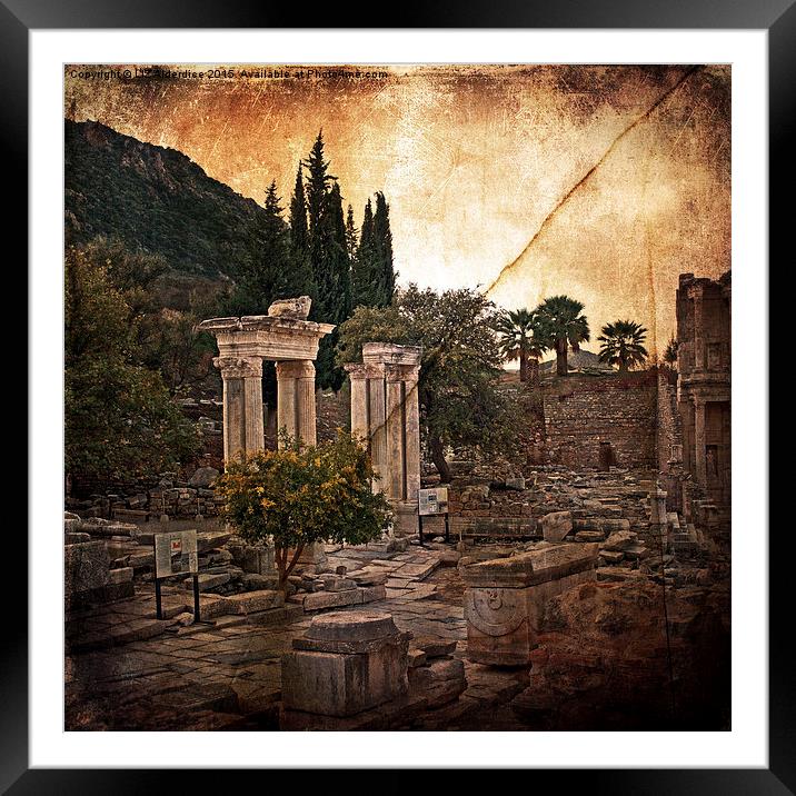 The Remains of The Day  Framed Mounted Print by LIZ Alderdice
