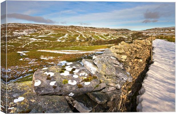 Views of the Yorkshire Dales Canvas Print by Gary Kenyon