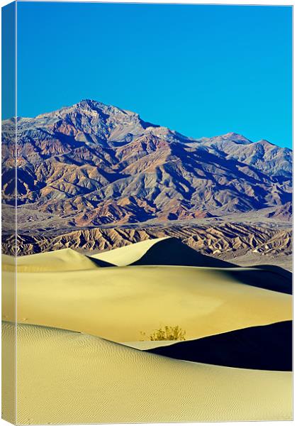 Mesquite Sand Dunes, Death Valley Canvas Print by Sharpimage NET