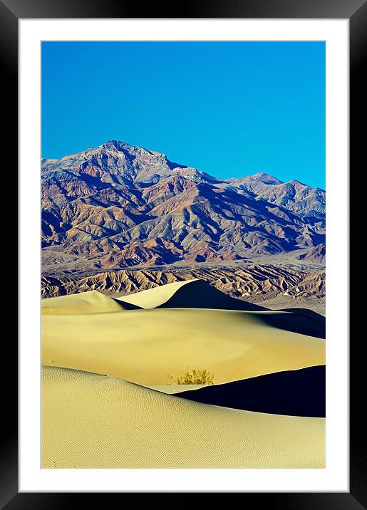 Mesquite Sand Dunes, Death Valley Framed Mounted Print by Sharpimage NET