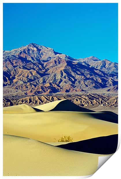 Mesquite Sand Dunes, Death Valley Print by Sharpimage NET