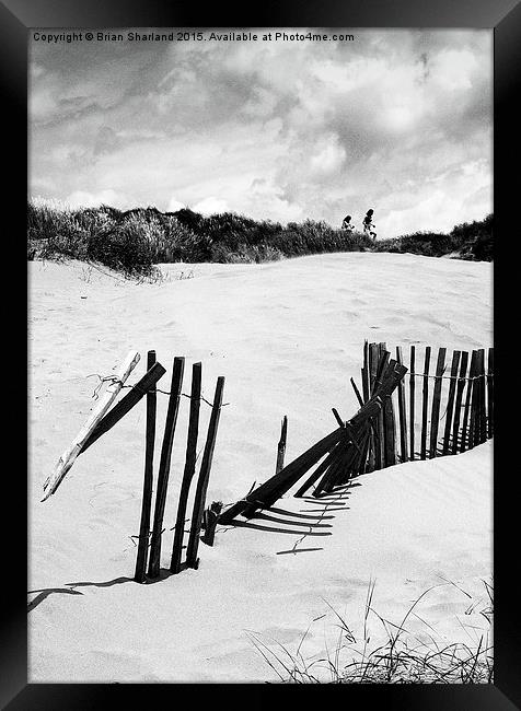  Dunes at Camber Sands. Framed Print by Brian Sharland