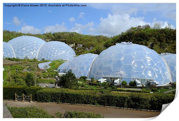  The Eden Project Print by Diana Mower