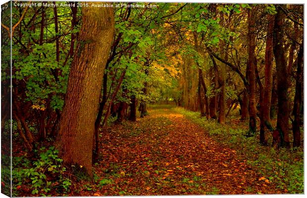  Autumn Wood Canvas Print by Martyn Arnold