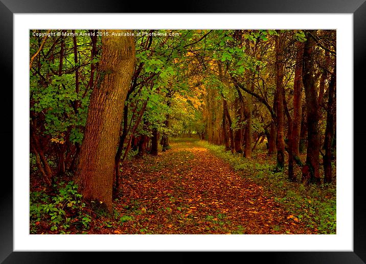  Autumn Wood Framed Mounted Print by Martyn Arnold