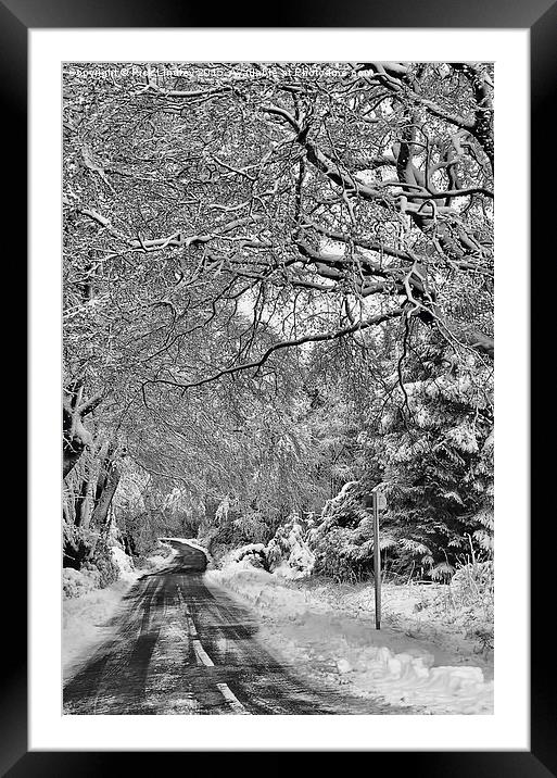  Winters Lane Framed Mounted Print by Rick Lindley