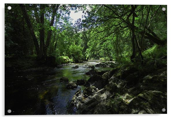 JST3066 River Teign Acrylic by Jim Tampin