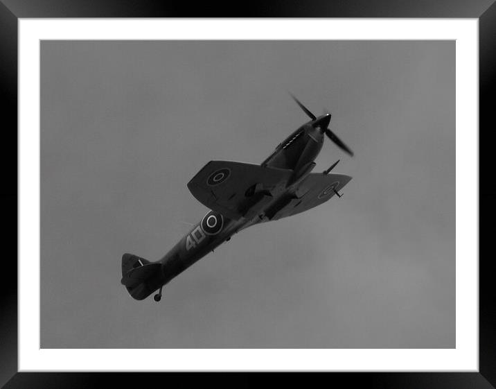 Little Friend Framed Mounted Print by Squawk Photography