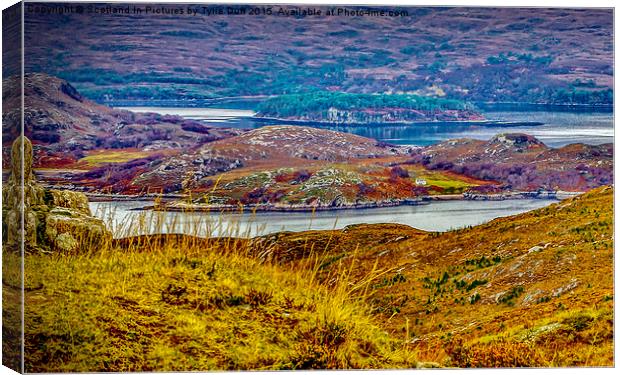Loch Shieldaig in the Torridons Canvas Print by Tylie Duff Photo Art