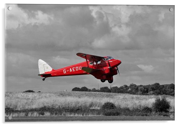  DH90A DRAGONFLY  Acrylic by Simon Hackett