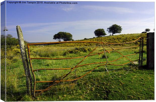JST3072 The Old farm gate Canvas Print by Jim Tampin