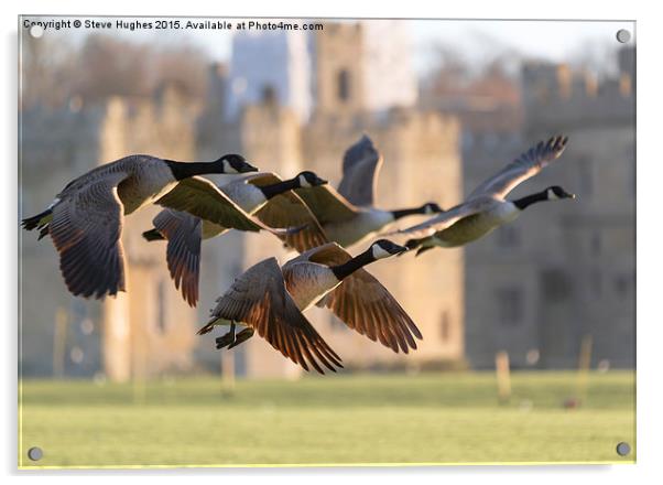 Leeds Castle Fly Past Acrylic by Steve Hughes