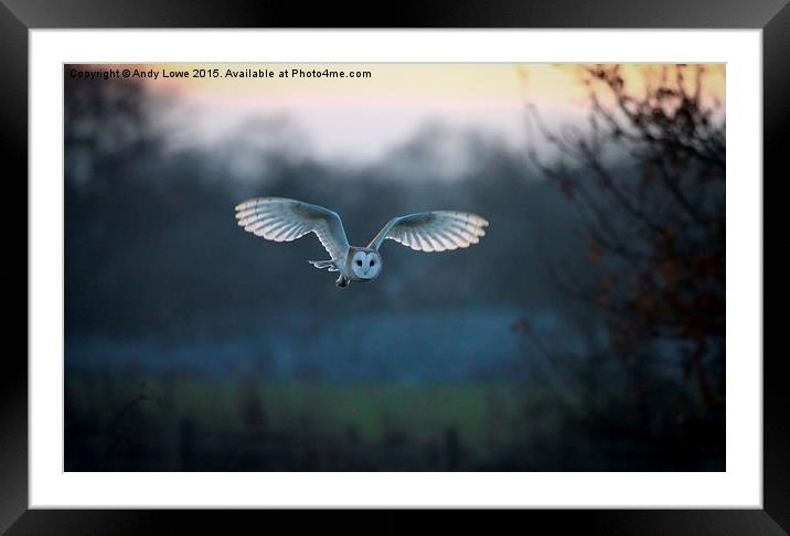  Barn Owl at Dusk Framed Mounted Print by Gypsyofthesky Photography