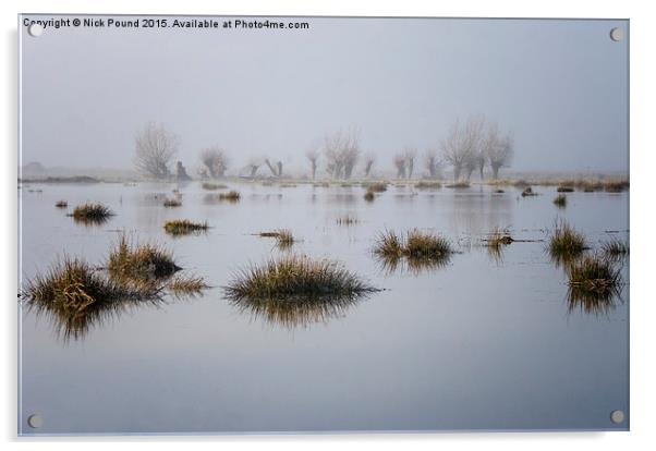 Wetland Willows  Acrylic by Nick Pound