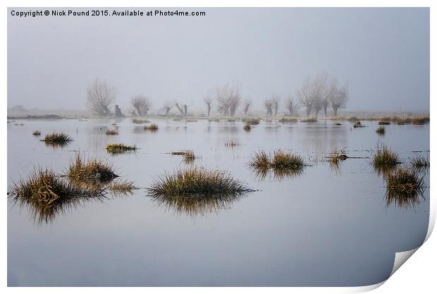 Wetland Willows  Print by Nick Pound