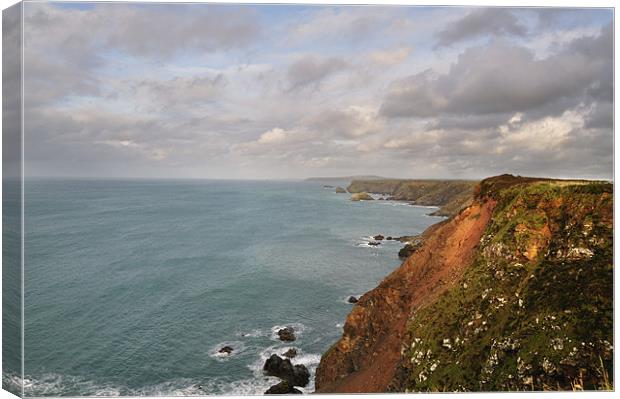 North Cornwall Coast, North Cliffs to Perranporth Canvas Print by C.C Photography