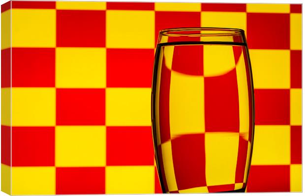 Refracted Patterns 19 Canvas Print by Steve Purnell