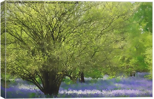  Painted bluebells :) Canvas Print by Zena Clothier