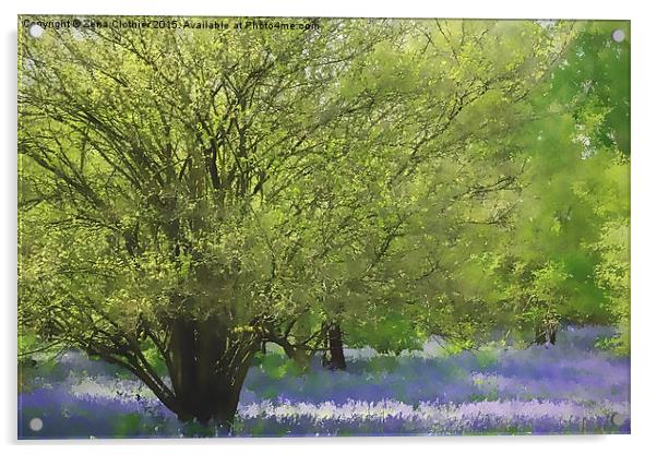  Painted bluebells :) Acrylic by Zena Clothier