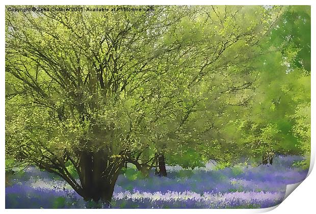  Painted bluebells :) Print by Zena Clothier
