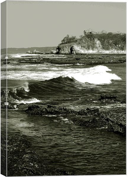 Waves Crashing Tri Tone  Canvas Print by james balzano, jr.