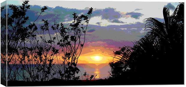  Posterised Sunset Canvas Print by james balzano, jr.