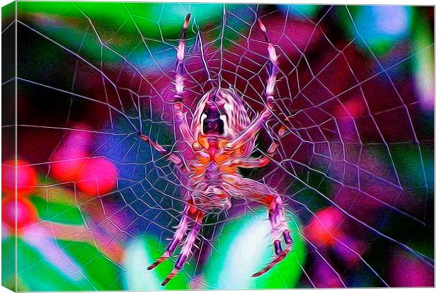  A spider of a different kind. Canvas Print by Catherine Cross