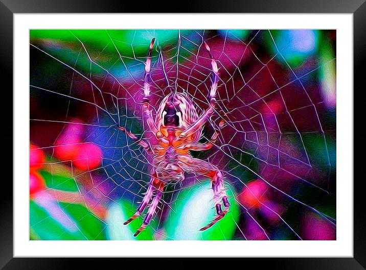  A spider of a different kind. Framed Mounted Print by Catherine Cross