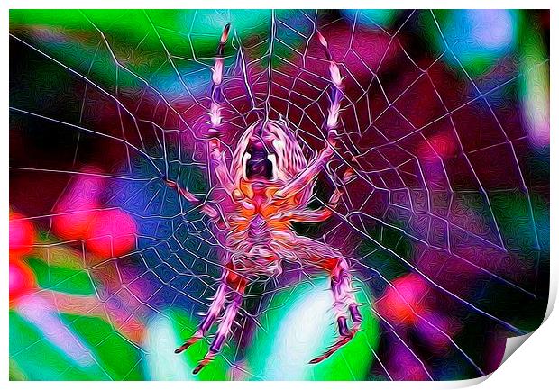  A spider of a different kind. Print by Catherine Cross
