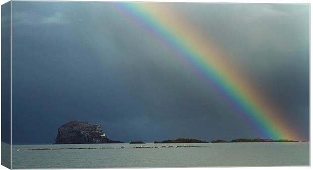  Rainbow over Bass Rock Canvas Print by Sue Dudley