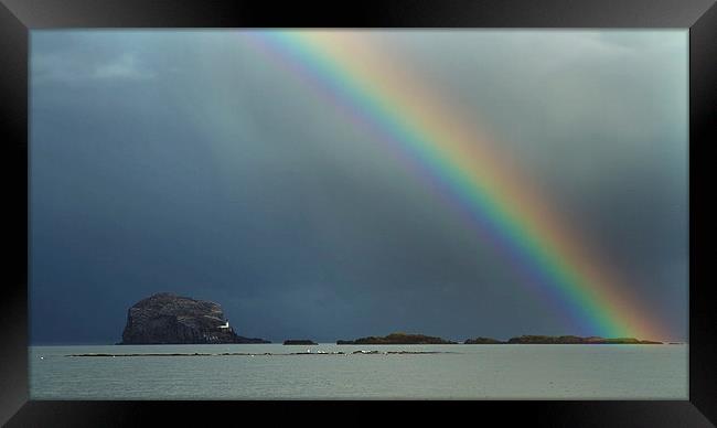  Rainbow over Bass Rock Framed Print by Sue Dudley
