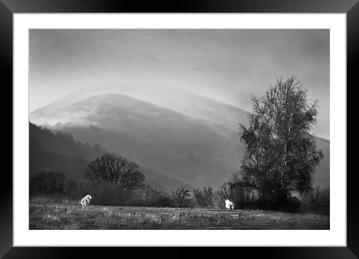  Malvern Hills from Hollybed Common Framed Mounted Print by Sue Dudley