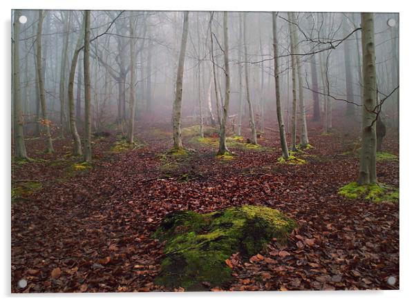  Foggy woodland Acrylic by Dawn Cox