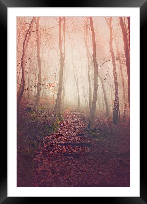  Step up to the light Framed Mounted Print by Dawn Cox