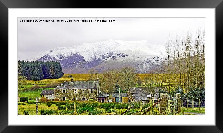  BLENCATHRA VIEW Framed Mounted Print by Anthony Kellaway