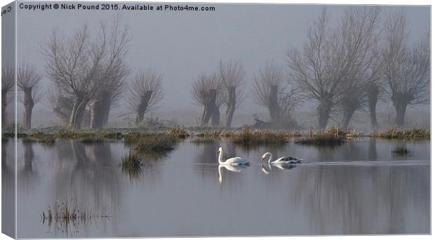 Swans and Willows Canvas Print by Nick Pound