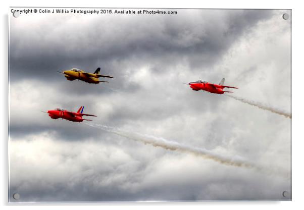   The  Gnat Display Team Acrylic by Colin Williams Photography