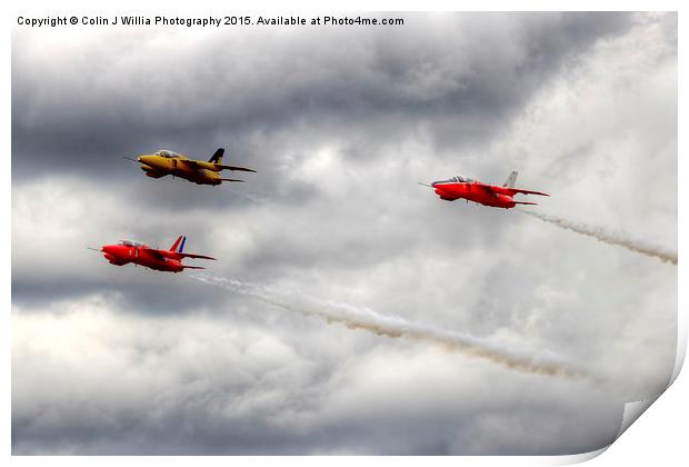   The  Gnat Display Team Print by Colin Williams Photography