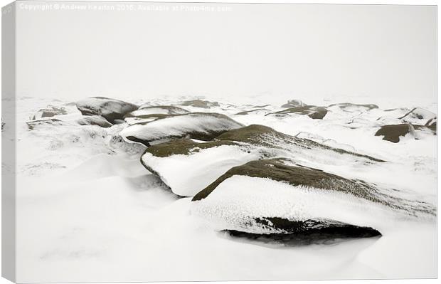  On the bleak, snowy moors Canvas Print by Andrew Kearton