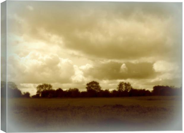  Felton Common, Somerset. Canvas Print by Heather Goodwin