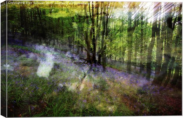  Abstract Bluebells Canvas Print by Sian Sullivan