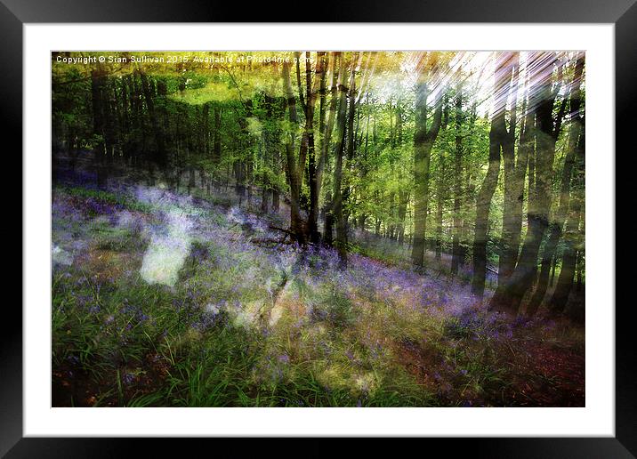  Abstract Bluebells Framed Mounted Print by Sian Sullivan