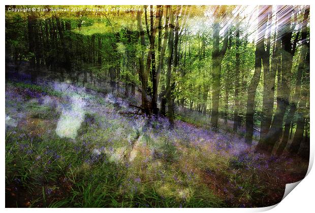  Abstract Bluebells Print by Sian Sullivan