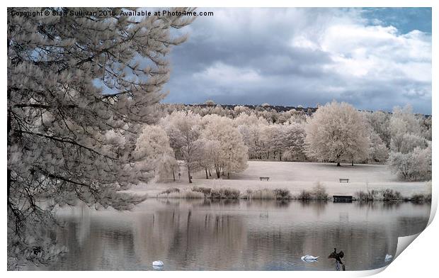  Fendrod Lake Swansea Print by Sian Sullivan