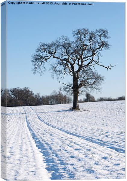 Tree in Snow Canvas Print by Martin Parratt