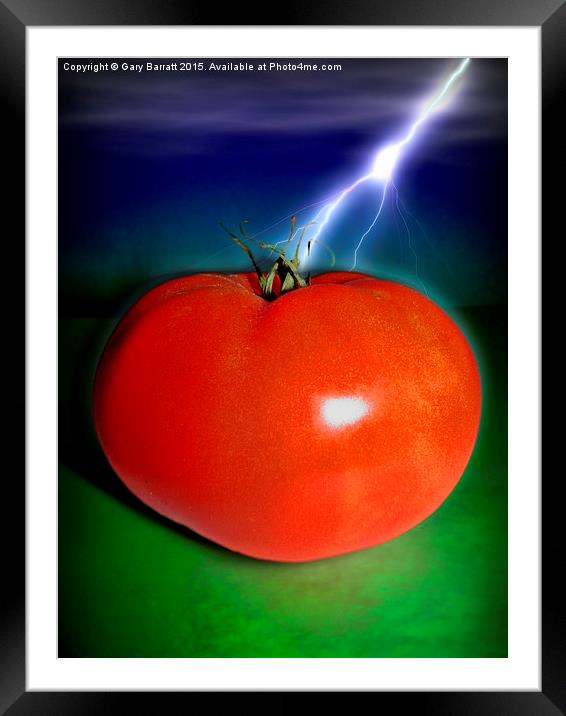  Big Red Tomato. Framed Mounted Print by Gary Barratt