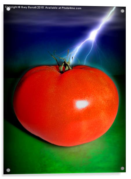  Big Red Tomato. Acrylic by Gary Barratt